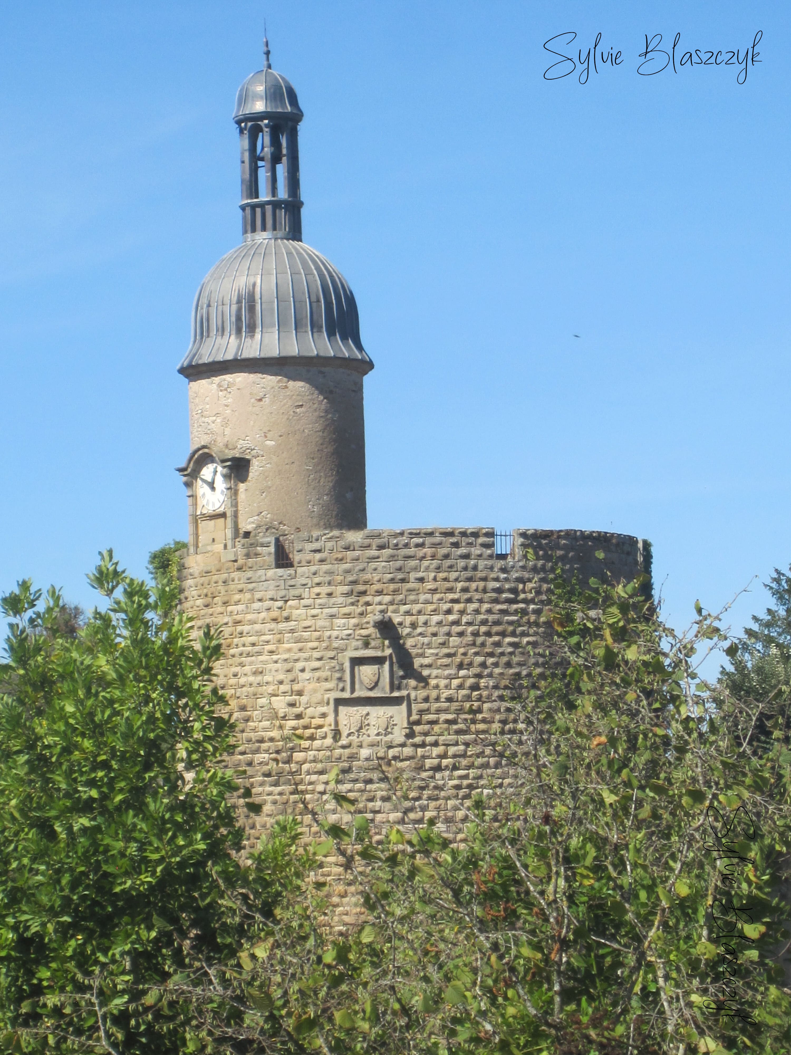 IMG 0682 2 1