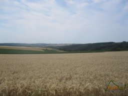 2019-07-24 - Reco - Les 3 Frontières