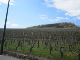 2021-04-17 - Des Sources au Riesling