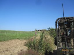 2023-07-08 - RBSB - Camp-Benning