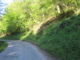 2025-05-01_Motorbike-Emotion_La-balade-du-Muguet