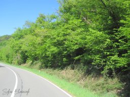 2025-05-01_Motorbike-Emotion_La-balade-du-Muguet