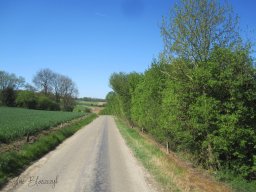 2025-05-01_Motorbike-Emotion_La-balade-du-Muguet