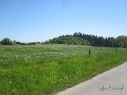 2025-05-01 - Motorbike-Emotion - Balade du Muguet