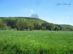 2025-05-01_Motorbike-Emotion_La-balade-du-Muguet