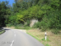 2025-08-14_Eclectisme-Grand-Ducal