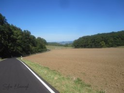 2025-08-14_Eclectisme-Grand-Ducal