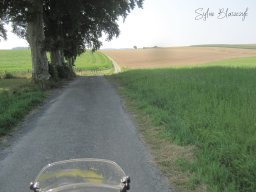 2025-08-14_Eclectisme-Grand-Ducal